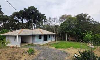Imagem 7: Chácara com 2 dormitórios à venda, 2500 m² por R$ 380.000,00 - Zona Rural - Fazenda Rio Gr