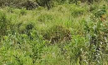 Imagem 7: VENDO 4 ALQUEIRES RURAL