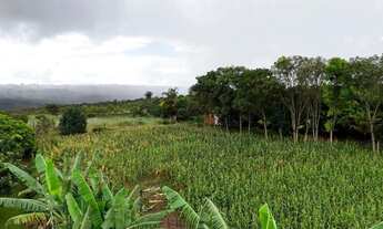 Imagem 5: A MELHOR CHÁCARA DA REGIÃO - ESCRITURADA