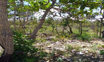 Imagem 5: Serra d Cipó!!! Chacara de 1.000m² 100% plano * WhtsApp