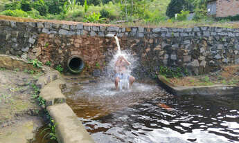 Imagem: Vendo excelente fazenda Presidente tranquedo