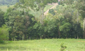 Imagem 7: Área de terras com 14 hectares localizada em São José do Sul