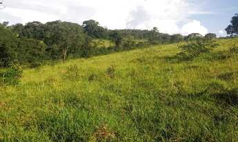Imagem 6: Fazenda para venda possui 29 Alqueires em Cocalzinho de Goiás
