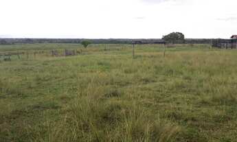 Imagem: Fazenda 227 Alqueires em Talismã Tocatins
