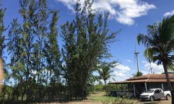 Imagem 4: Fazenda com 60 hectares em ceara mirim