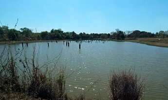 Imagem 5: Fazenda 636 Alqueires em Sandolandia To