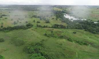 Imagem 5: Fazenda 150 hectares no Litoral Norte da Bahia! Com nascentes