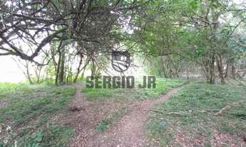 Imagem 6: Sítio com 2,6h e casa em Montenegro - 1,3 km da BR386