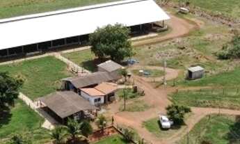 Imagem 2: Chácara 11 alqueires (53 hectares) em Palmeiras de Goiás-GO (lavoura + leite