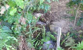 Imagem 6: Fazenda em Minaçu 23 alqueires