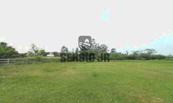 Imagem 4: Sítio com 2,6h e casa em Montenegro - 1,3 km da BR386