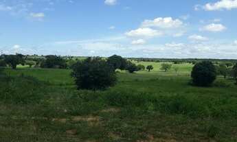 Imagem 7: Fazenda com 290 hectares entre macaiba e são pedro do Potengi
