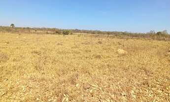 Imagem 6: Fazenda 636 Alqueires em Sandolandia To