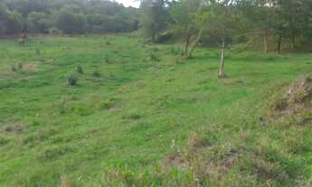 Imagem 3: Sítio - chácara - fazenda em Abadiania 5 alqueire