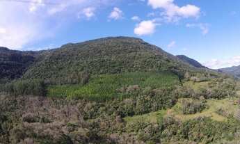 Imagem: Área à venda, 450000 m² por R$ 8.799.900,00