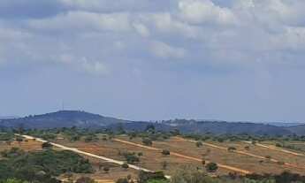 Imagem 7: Lote de 1.000m² entre lagoa santa/serra do cipó (financio