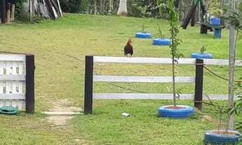 Imagem 4: Vende-se sítio em Ilhota