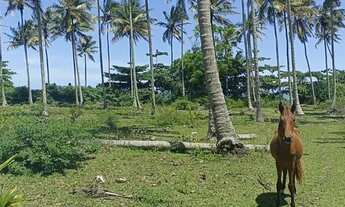 Imagem 5: Lote Terreno Chácara Sitio em Praia Formosa - Aracruz - Espírito Santo