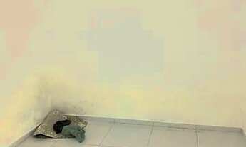 Imagem 3: CASA P LOCAÇÃO 400,00