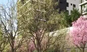 Imagem 2: Apto. 3 Suítes c/ 100m² a 199m² - Alto St. Bueno