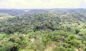 Imagem 5: Invista na natureza e tenha seu próprio paraíso, terreno de 8 hectares em Itacaré
