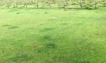 Imagem 7: VC - Vendo Terreno Com 2 km do Asfalto