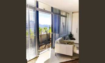 Imagem 6: Apartamento para Aluguel - Nova Petrópolis, 4 Quartos, 480 m2