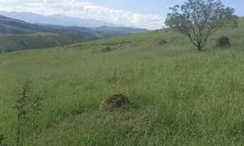 Imagem 6: 48P-JPRI20 Terreno / lote com venda por R$250.000