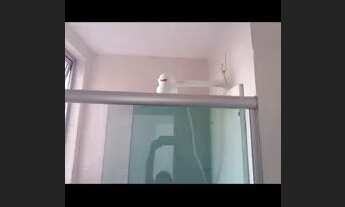 Imagem 7: Eliza Miranda 02 quartos