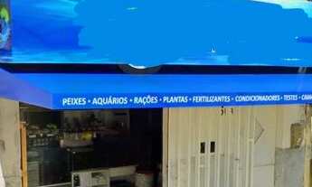 Imagem: Casa 2Quartos COM garagem ou Ponto Comercial