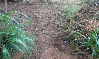 Imagem 2: Vendo Mini Sítio em 5 Lagos mendes