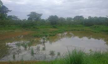 Imagem 6: Vendo minha colônia