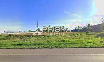 Imagem: Terreno plano - BR392 ao lado da Braspress