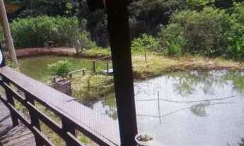 Imagem 2: Vendo chácara Chácara com venda por R$320.000