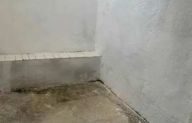 Imagem 5: Alugo Casa na melhor localização do Centenário