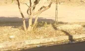 Imagem 3: Vende se Esta Casa