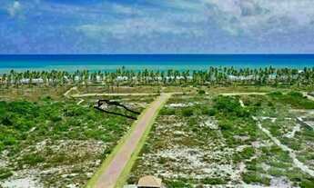 Imagem 2: Terreno à venda no bairro Praia do Forte - Mata de São João/BA
