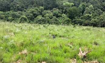 Imagem 7: Lote/Terreno para venda tem 1500 metros quadrados em Centro - Mairiporã - SP