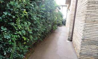 Imagem 3: Sobrado para aluguel tem 299 metros quadrados com 4 quartos em Chácara Inglesa - São Paulo