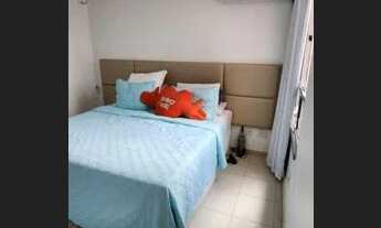 Imagem 7: Palm Ville 63220