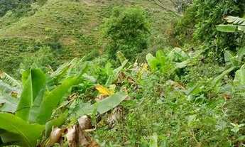 Imagem 3: Sitio em Santa Teresa