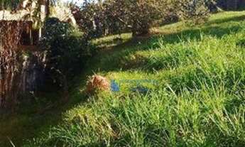 Imagem 3: Terreno no Caminhos de San Conrado