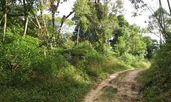 Imagem 3: Chácara São José dos pinhais