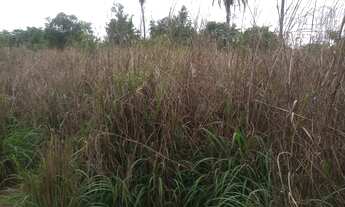 Imagem 4: Regiao Jequitai!!! Sitio 23 Hectares /70% Pastagem/Agua De Rio/60% Cultura!!!