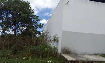 Imagem 6: Galpão em Pacajus