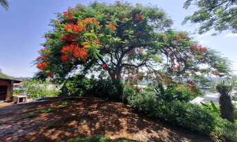 Imagem 3: Novo Hamburgo - Casa Padrão - Primavera