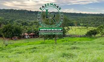 Imagem 6: Fazenda / chácara 10 Alqueires Dupla Aptidão