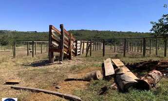 Imagem 2: Fazenda à Venda em Santa Rita do Araguaia - GO
