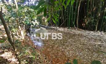 Imagem 7: Araguari/MG: Fazenda com Potencial Triplo - Mineração, Agropecuária e Plantio! Descubra um