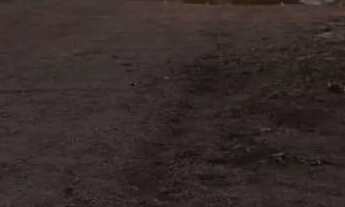 Imagem: Venda de um Lote no lago norte